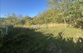 Eladó Veresegyházi lakóövezeti telek hirdetés (41949343)