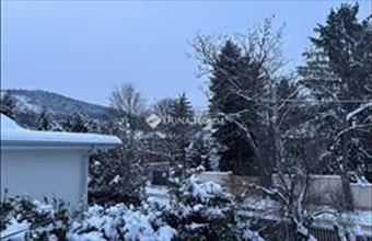 Eladó Budapest III. kerületi családi ház hirdetés (17277146)