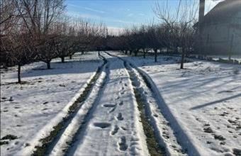 Eladó Nyíregyházai lakóövezeti telek hirdetés (83822352)