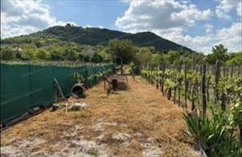 Eladó Somlószőlősi hétvégi ház hirdetés (57984688)