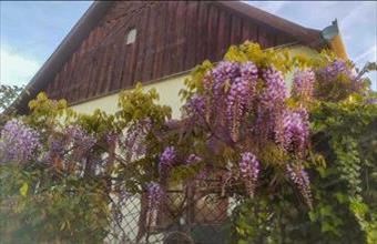 Eladó Szadai családi ház hirdetés (44629929)