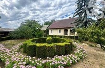 Eladó Kecskeméti családi ház hirdetés (87448335)