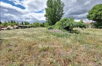 Eladó Tiszakécskei lakóövezeti telek hirdetés (42447742)