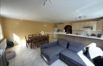 Eladó Dányi családi ház hirdetés (54352245)