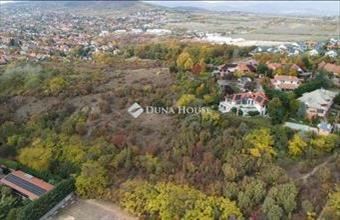 Eladó Ürömi külterületi telek hirdetés (94546394)