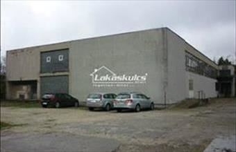 Kiadó Keszthelyi egyéb üzlethelyiség hirdetés (86512772)