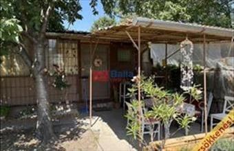 Eladó Dömsödi hétvégi ház hirdetés (32777954)