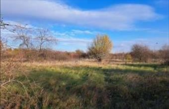 Eladó Váci egyéb telek hirdetés (25965923)