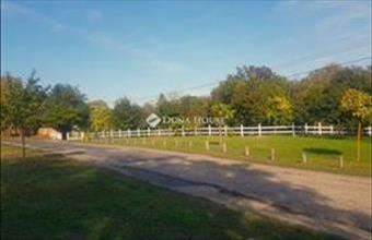 Eladó Dunaújvárosi lakóövezeti telek hirdetés (44323555)