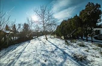 Eladó Hegyeshalomi lakóövezeti telek hirdetés (79984825)