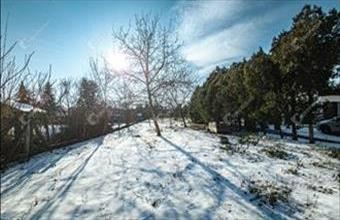 Eladó Hegyeshalomi lakóövezeti telek hirdetés (79984825)