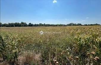 Eladó Pátkai lakóövezeti telek hirdetés (15358452)