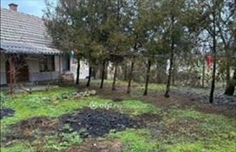 Eladó Gyulai családi ház hirdetés (43932832)