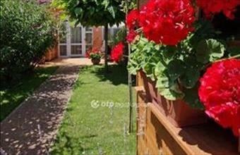 Eladó Gyulai családi ház hirdetés (53345469)