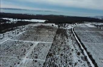 Eladó Dörgicsei külterületi telek hirdetés (89933329)