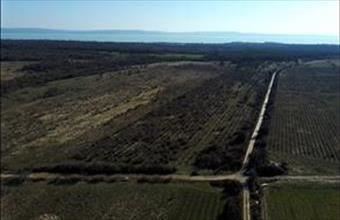 Eladó Dörgicsei külterületi telek hirdetés (89933329)