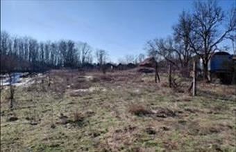 Eladó Tápiószőlősi lakóövezeti telek hirdetés (99225317)