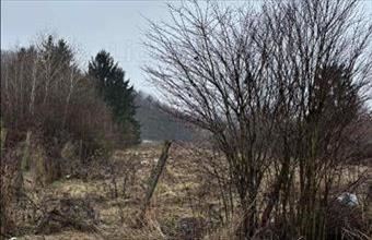 Eladó Kaposvári lakóövezeti telek hirdetés (74262853)