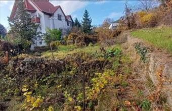 Eladó Budapest III. kerületi családi ház hirdetés (63469467)