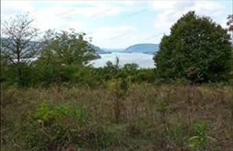 Eladó Zebegényi egyéb mezőgazdasági ingatlan hirdetés (94341689)