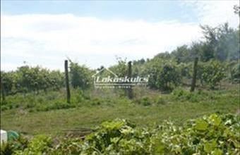 Eladó Balatonszőlősi külterületi telek hirdetés (53873446)