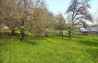 Eladó Magyarszéki lakóövezeti telek hirdetés (83354752)