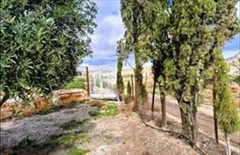 Eladó Spanyolországi tanya hirdetés (48614834)