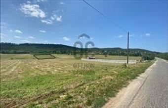 Eladó Balatongyöröki lakóövezeti telek hirdetés (84463239)