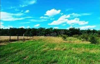 Eladó Sződi egyéb mezőgazdasági ingatlan hirdetés (74577469)