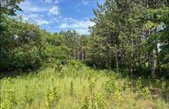 Eladó Jánoshalmai egyéb mezőgazdasági ingatlan hirdetés (79969665)