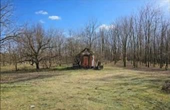 Eladó Kiskunhalasi egyéb mezőgazdasági ingatlan hirdetés (38529874)