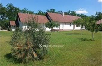 Eladó Bugyi tanya hirdetés (55737252)