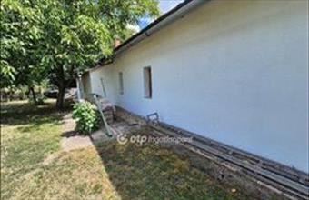 Eladó Szentesi tanya hirdetés (43421367)