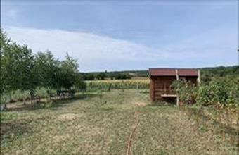 Eladó Karmacsi egyéb telek hirdetés (78837264)