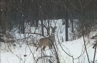 Eladó Bárnai családi ház hirdetés (26539746)