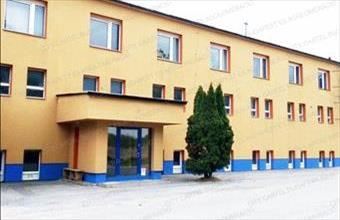 Kiadó Solymári műhely hirdetés (73474543)