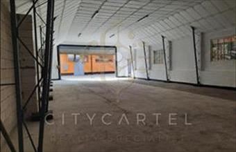 Kiadó Solymári raktár hirdetés (87259757)