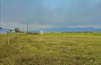 Eladó Pilisvörösvári fejlesztési lakóterület hirdetés (33478334)