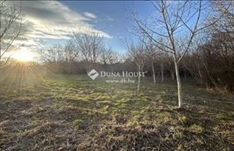 Eladó Alsóörsi külterületi telek hirdetés (32279539)