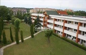 Eladó Zalakarosi egyéb üzlethelyiség hirdetés (36974177)