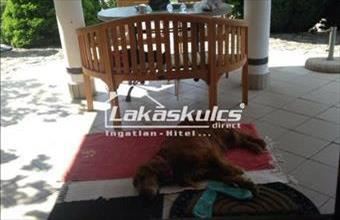 Kiadó Balatonfüredi üdülő hirdetés (23876235)