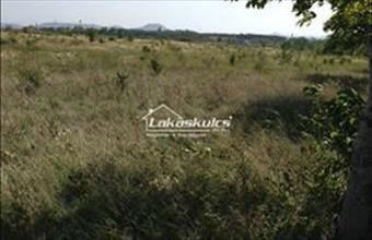 Eladó Tapolcai egyéb üzlethelyiség hirdetés (23536383)