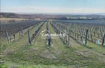 Eladó Soproni lakóövezeti telek hirdetés (37937698)