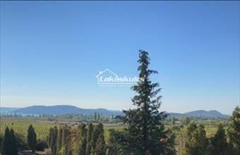 Eladó Balatonfüredi külterületi telek hirdetés (47534737)