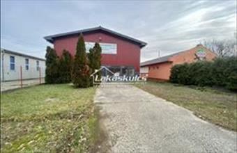 Kiadó Dombóvári egyéb üzlethelyiség hirdetés (43731135)