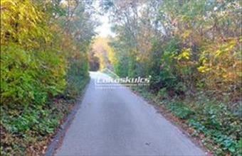 Eladó Balatonszőlősi lakóövezeti telek hirdetés (53377724)