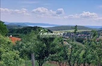 Eladó Balatonszőlősi üdülő hirdetés (23346453)