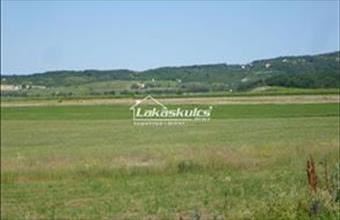 Eladó Balatonszőlősi külterületi telek hirdetés (33837239)