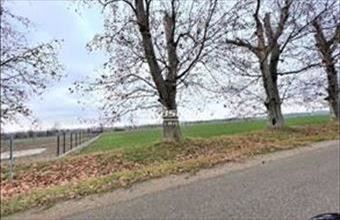 Eladó Nagycenki lakóövezeti telek hirdetés (59277852)