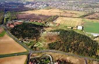 Eladó Cserszegtomaji egyéb üzlethelyiség hirdetés (94812957)